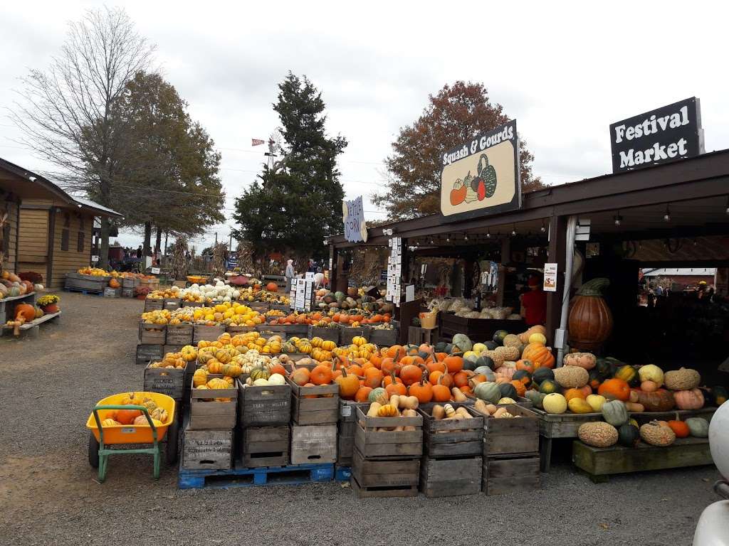 Anarchy Acres | 15621 Braddock Rd, Centreville, VA 20120, USA