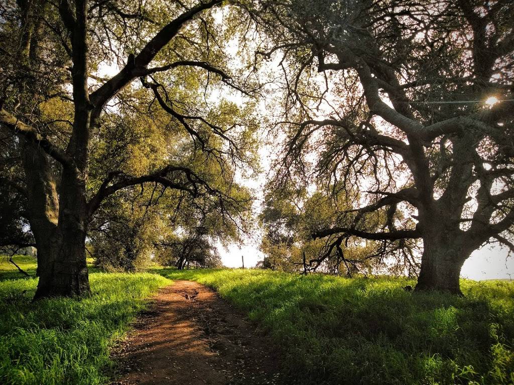 Barnett Ranch Preserve | Deviney Lane at, San Vicente Rd, Ramona, CA 92065 | Phone: (760) 788-3326