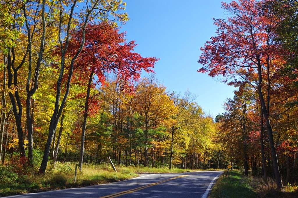 Frederick Municipal Forest | Frederick, MD 21702, USA