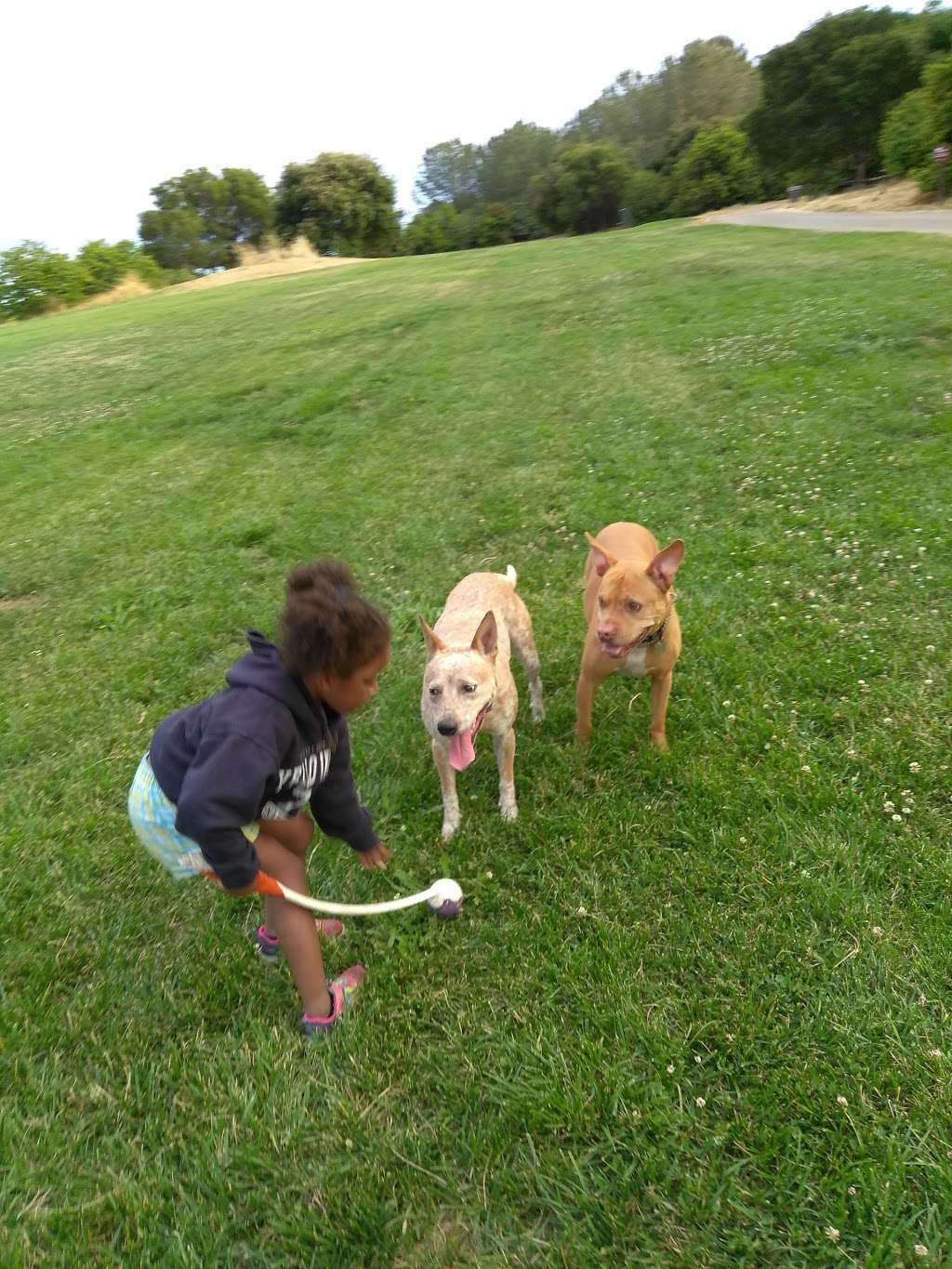 Oyster Bay Regional Shoreline Park | San Leandro, CA 94577