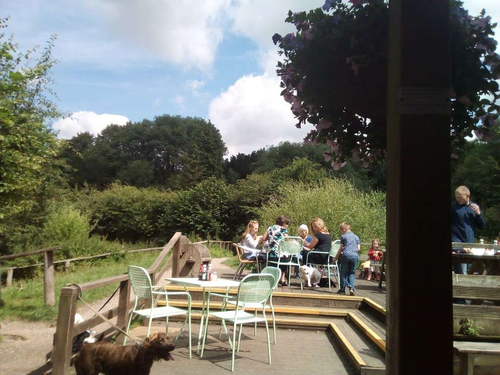 Green Roof Cafe | High Elms Country Park, Shire Ln, Orpington BR6 7JH, UK | Phone: 01689 855439