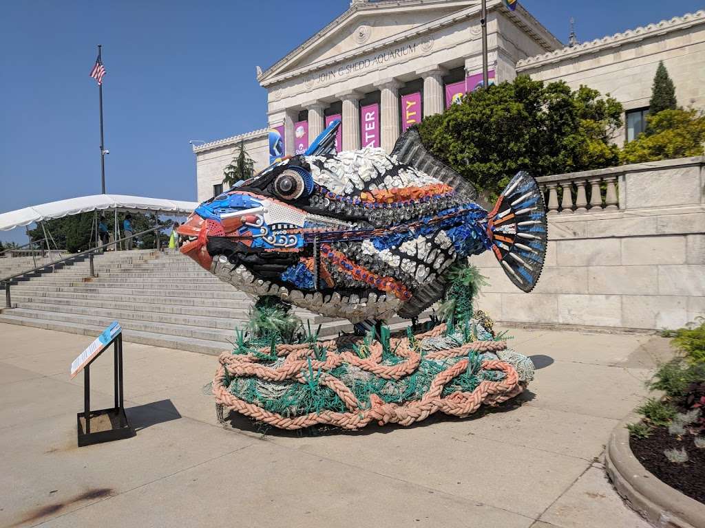 Shedd Aquarium | 1200 S Lake Shore Dr, Chicago, IL 60605 | Phone: (312) 939-2438