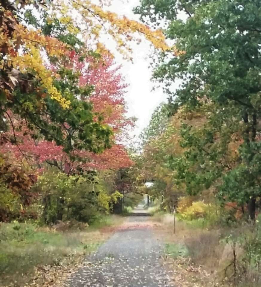 Bird Sanctuary | Methuen, MA 01844, USA