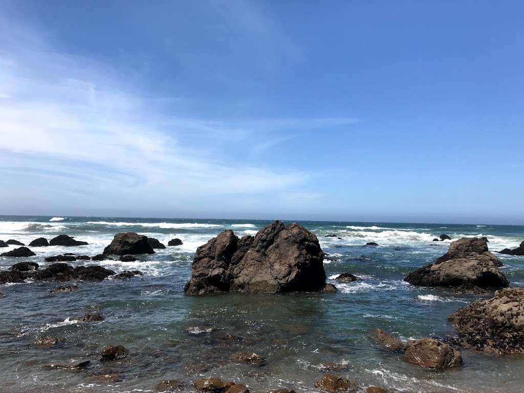 North Salmon Creek Beach | 3095 CA-1, Bodega Bay, CA 94923, USA | Phone: (707) 875-3483