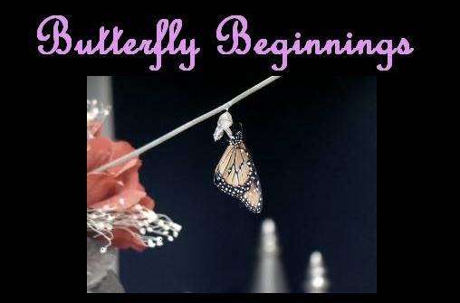 Butterfly Beginnings Doula Services | Zoe Ct, Loveland, CO 80537 | Phone: (970) 281-2072