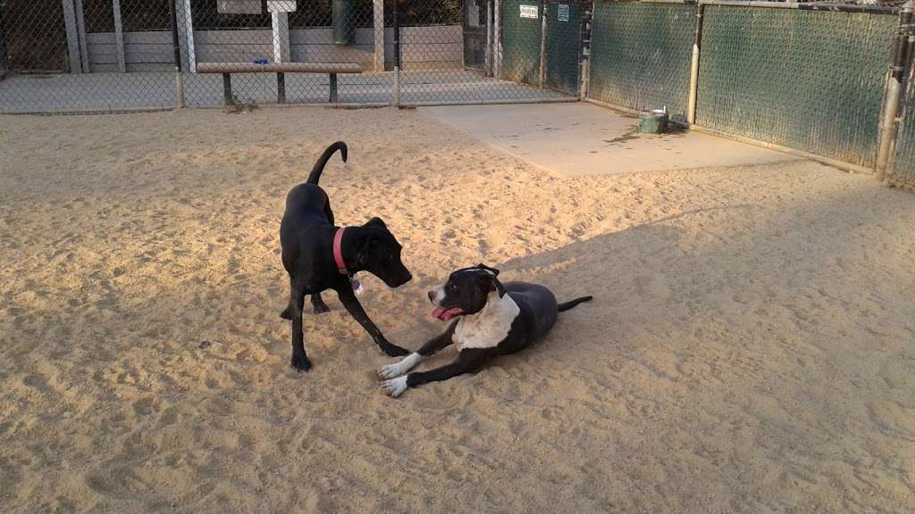 Dog Park | N Shoreline Blvd & North Rd, Mountain View, CA 94043, USA | Phone: (650) 903-6392