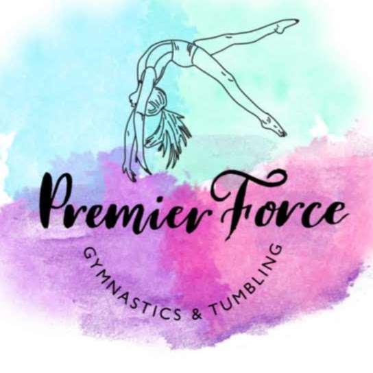 Premier Force Gymnastics and Tumbling | 4580 Charlotte Hwy Building 102, Clover, SC 29710, USA | Phone: (803) 627-7126