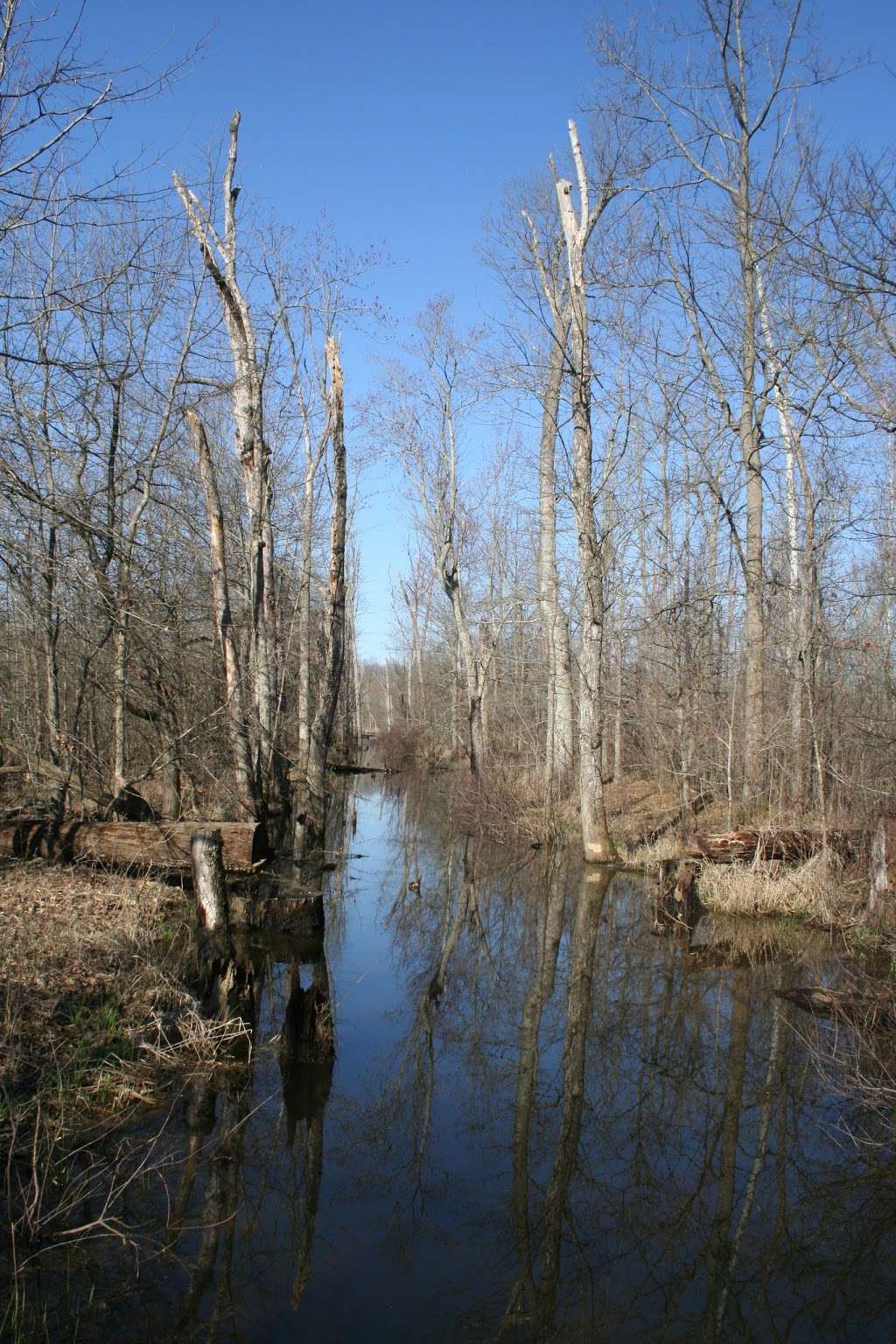 Beanblossom Bottoms Nature Preserve - Sycamore Land Trust | N Woodall Rd, Ellettsville, IN 47429, USA | Phone: (812) 336-5382