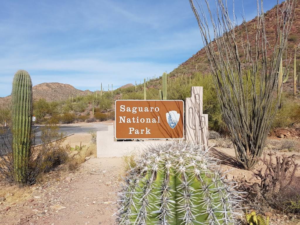 Saguaro National Park | Arizona, USA | Phone: (520) 733-5153