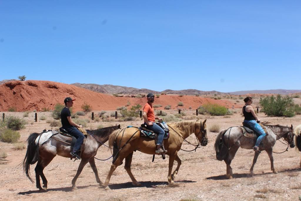 Silver State Horseback Riding Tours | Rainbow Gardens, Henderson, NV 89011, USA | Phone: (702) 805-1911