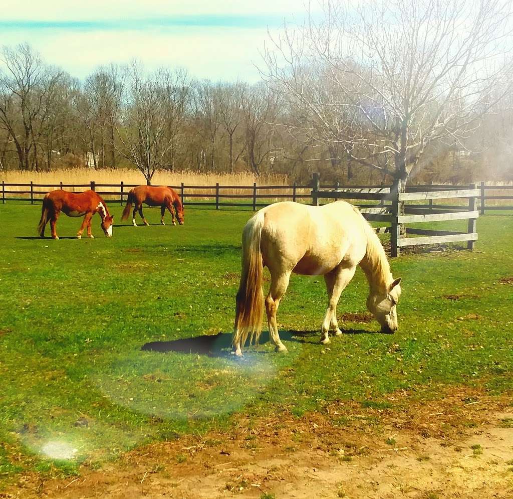 Sunnyside Equestrian Center | 628 Middletown-Lincroft Rd, Lincroft, NJ 07738, USA | Phone: (732) 224-1367