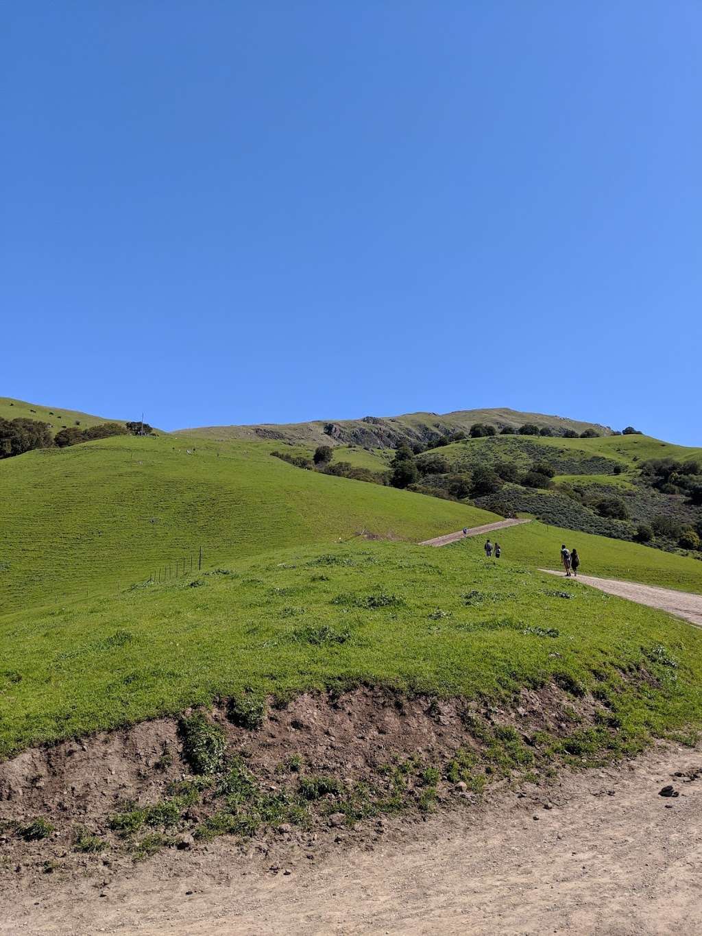 Mission Peak Trail Head | 680 Stanford Ave, Fremont, CA 94539, USA | Phone: (510) 544-3246