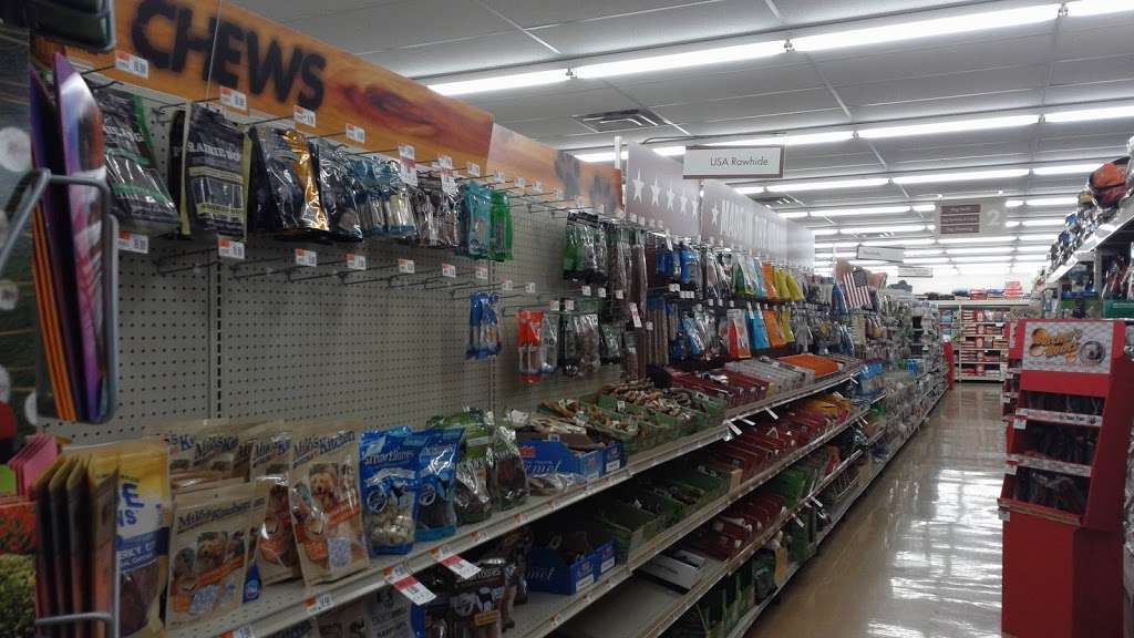 Pet Supplies Plus | 7031 Lincoln Ave, Lincolnwood, IL 60712, USA | Phone: (847) 329-4075