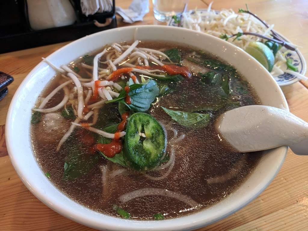 The Noodle Vietnamese & Thai Cuisine | 2336 S Wentworth Ave, Chicago, IL 60616, USA | Phone: (312) 674-1168