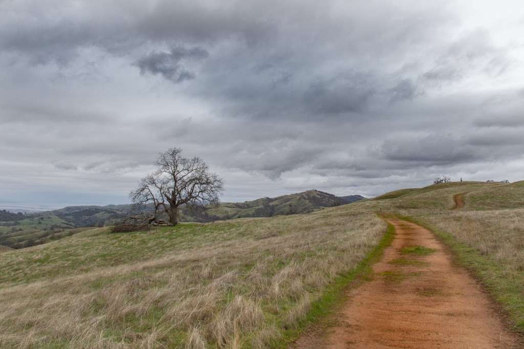 Joseph D. Grant County Park | 18405 Mt Hamilton Rd, Mt Hamilton, CA 95140, USA | Phone: (408) 274-6121