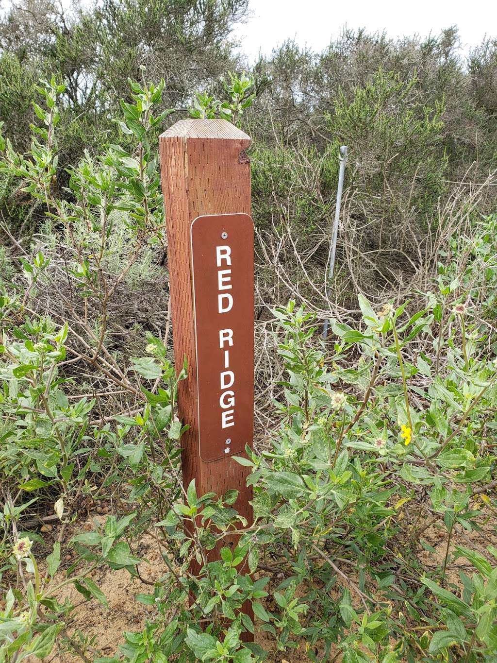 Red Ridge Loop Trail Trailhead | 13513 Mira Montana Dr, Del Mar, CA 92014, USA