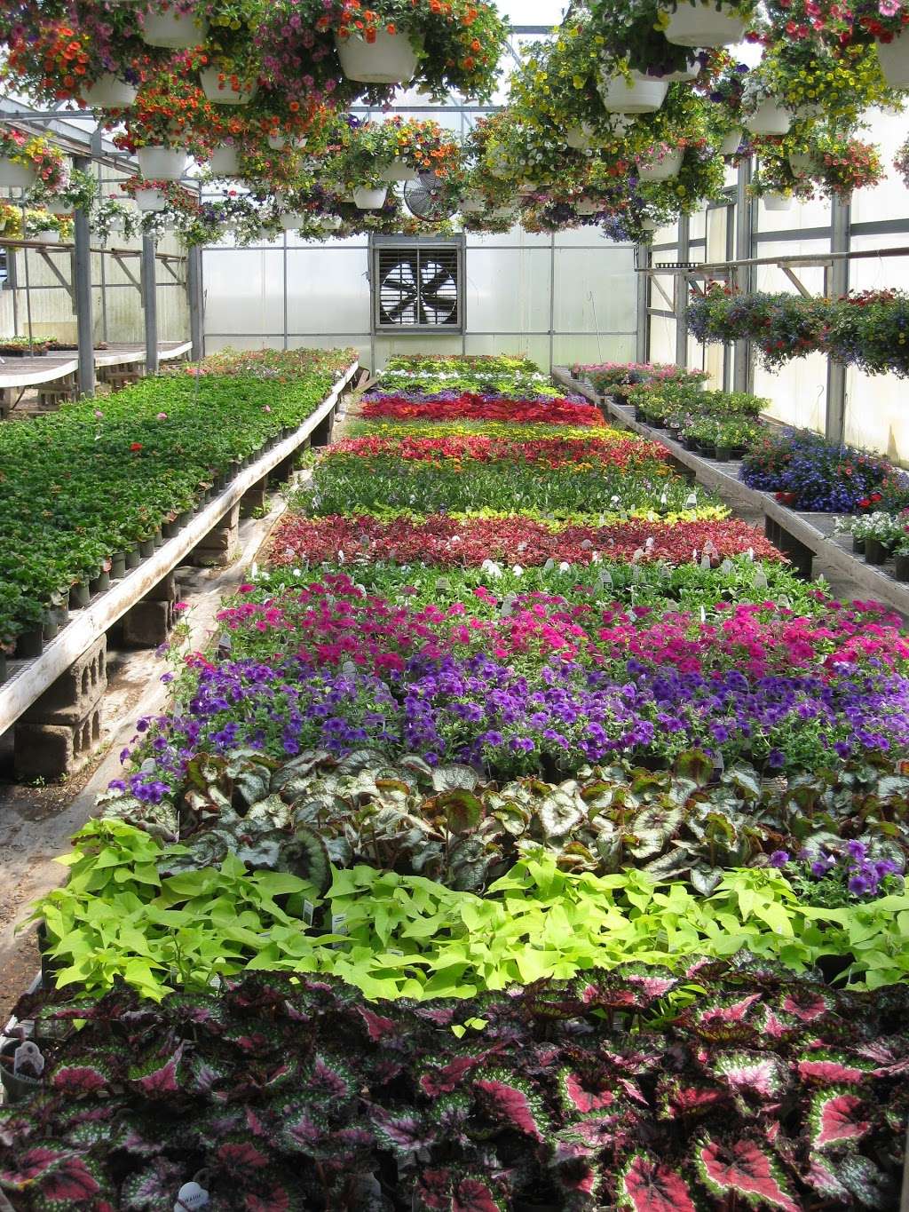 Snovers Greenhouses & Florist | 790 Strykers Rd, Phillipsburg, NJ 08865, USA | Phone: (908) 859-3254