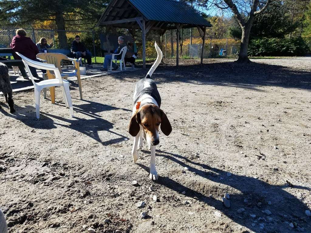 Derry Dog Park | Fordway Extension, Derry, NH 03038, USA | Phone: (603) 432-6136