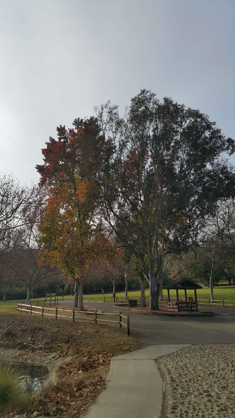 San Dieguito County Park - Lower | El Camino Real, Del Mar, CA 92014