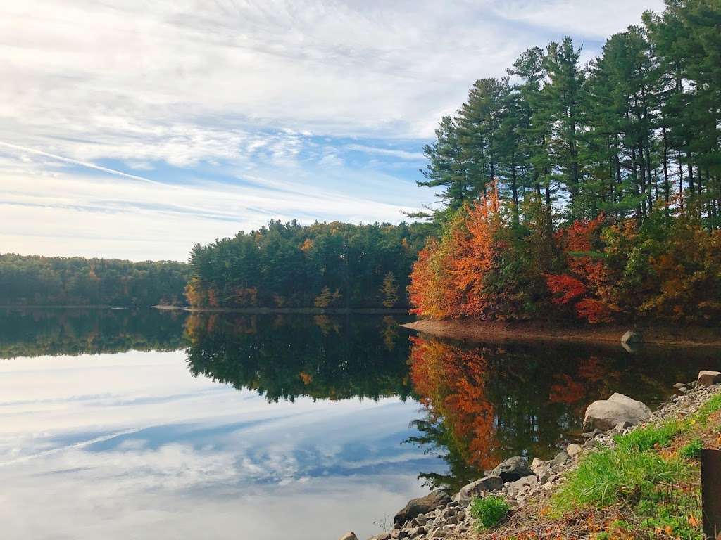 Bowman Conservation Area | 72 Bowman St, Westborough, MA 01581, USA