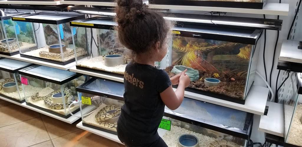 Herp Hobby Shop Reptile Breeding Center | 700 St Petersburg Dr W, Oldsmar, FL 34677 | Phone: (813) 925-0041