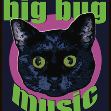 Big Bug Music | 934 N 9th St, Stroudsburg, PA 18360, USA | Phone: (570) 424-6040