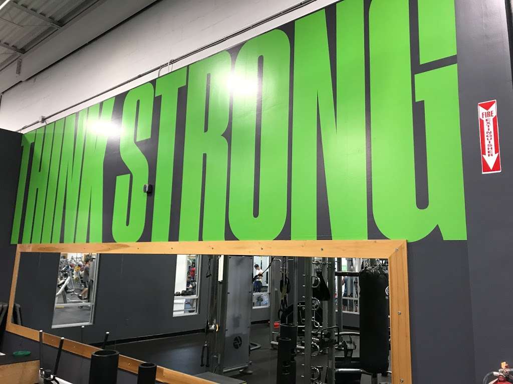 Jersey Strong Gym | 3681 U.S. 9, Freehold Township, NJ 07728, USA | Phone: (732) 683-1313