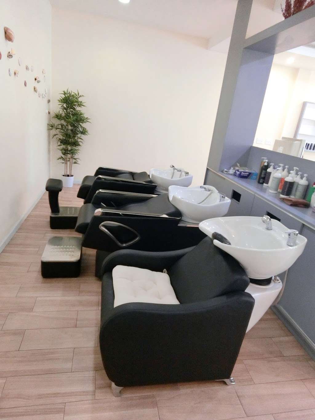 Salon Papillon | 339 E Lancaster Ave, Wynnewood, PA 19096 | Phone: (610) 896-3888