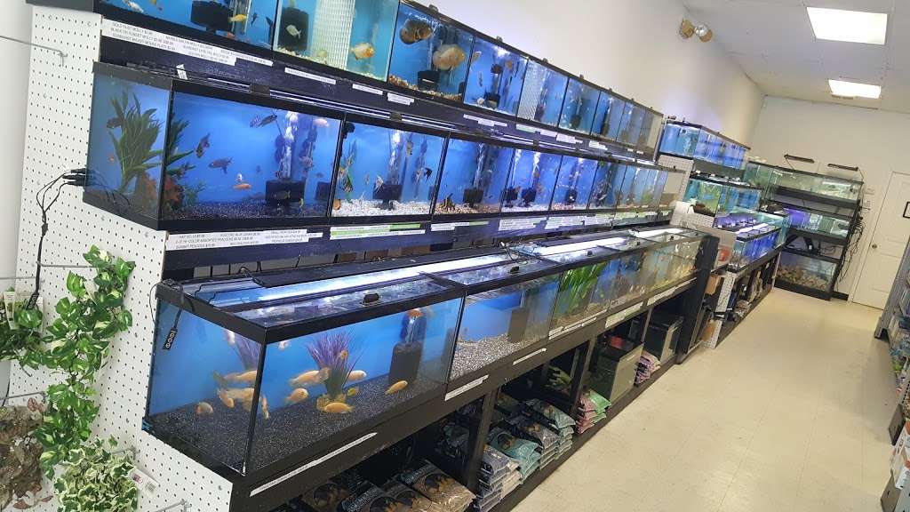 Major League Exotic Pets | 400 S New Prospect Rd, Jackson, NJ 08527, USA | Phone: (732) 961-7234