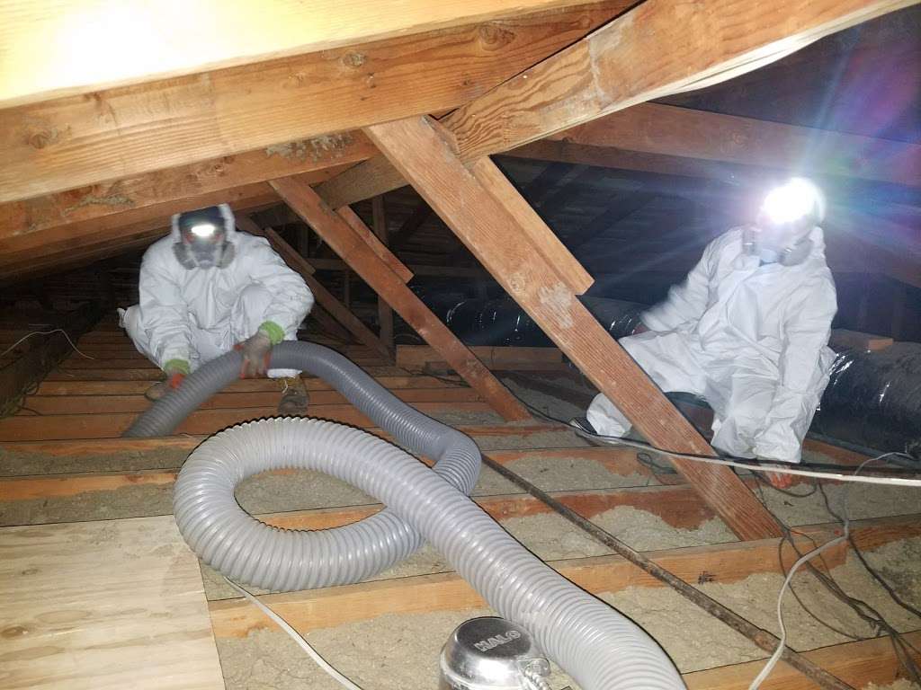 Attic Solutions - Rodent Proofing & Insulation Services | 3212 Deering St, Oakland, CA 94601, USA | Phone: (510) 500-5007