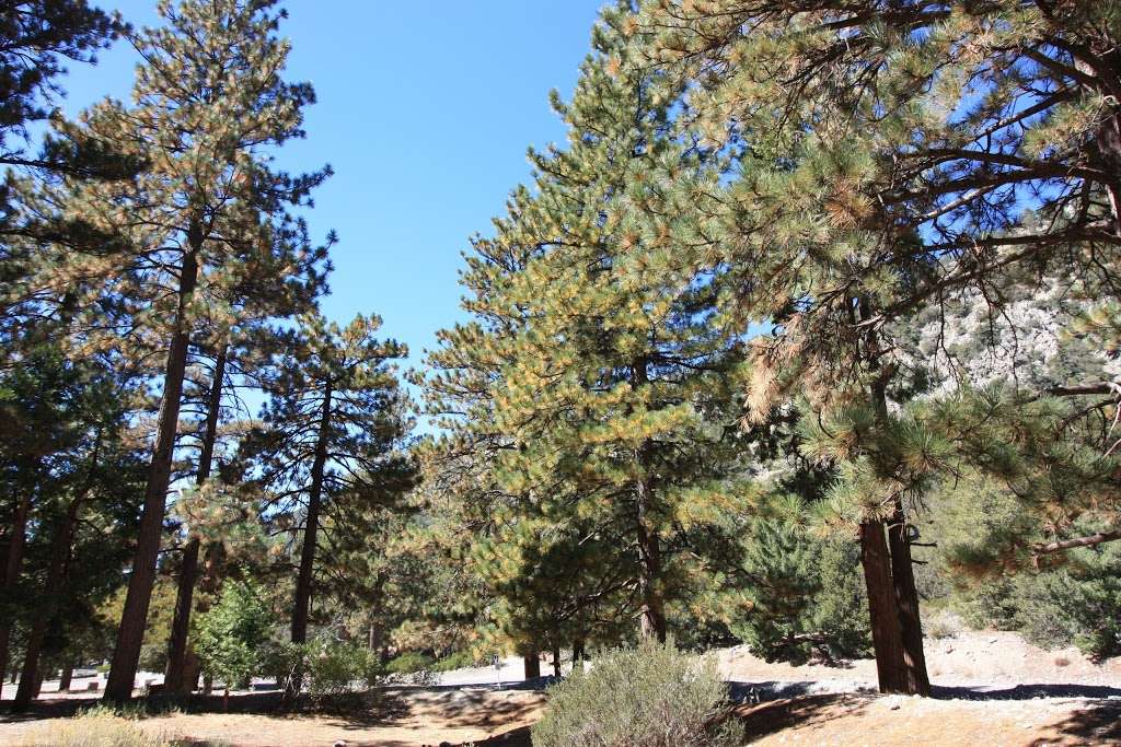 Manker Campground | Mt Baldy, CA 91759, USA | Phone: (909) 982-2829