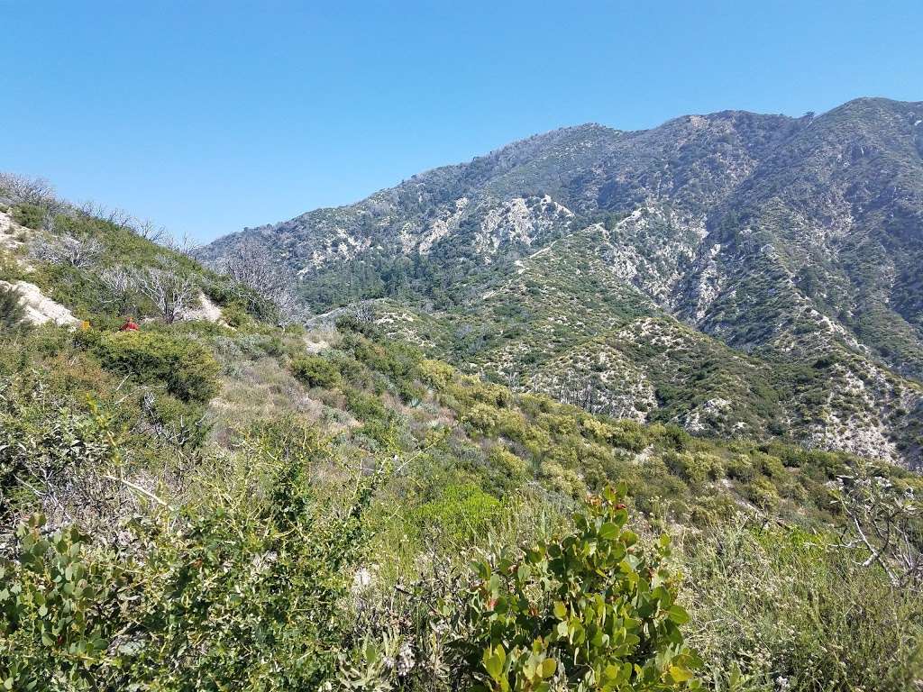 Mount Lowe Railway Historical Marker | Altadena, CA 91001