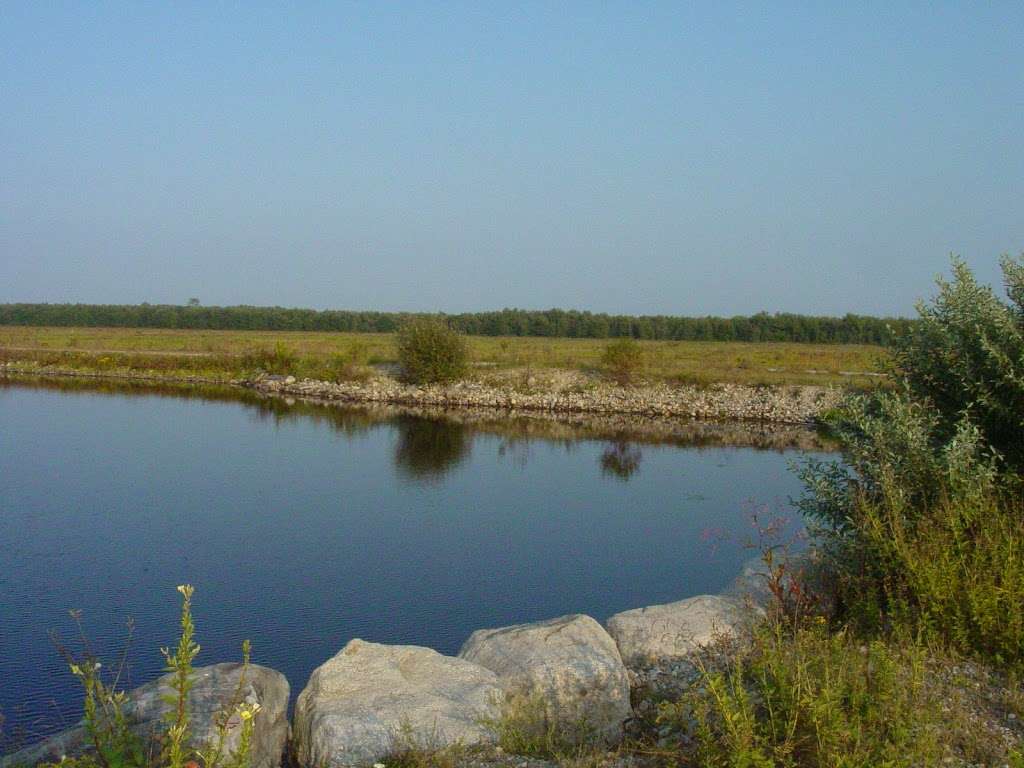 Burrage Pond Wildlife Management Area | Pleasant St, Hanson, MA 02341, USA | Phone: (508) 759-3406
