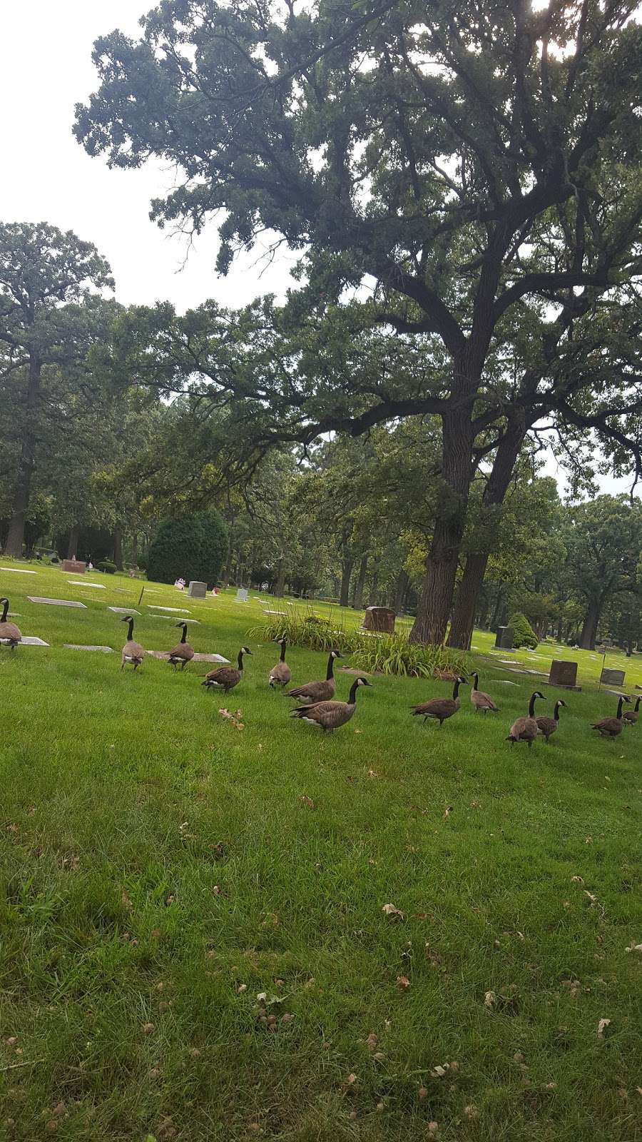 Oak Hill Cemetery | 11900 Kedzie Ave, Chicago, IL 60803 | Phone: (708) 385-0132