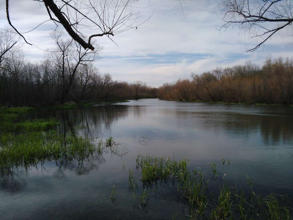 Lower Ferguson Marsh (Perry Wildlife Area) | Valley Falls, KS 66088, USA | Phone: (785) 945-6615