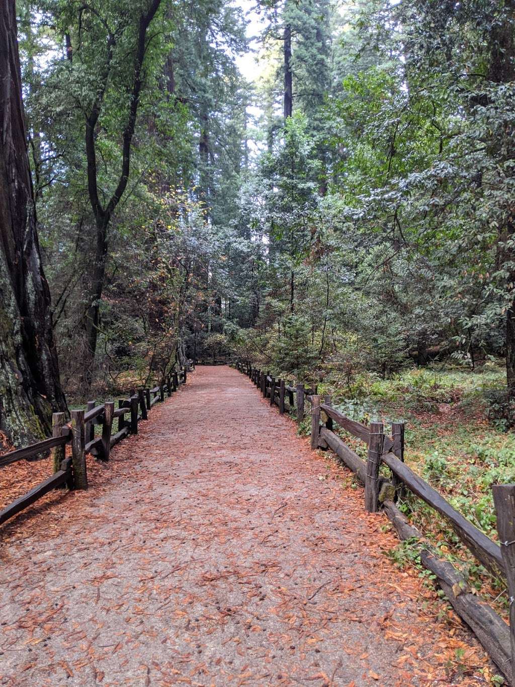 Visitor Center | Redwood Grove Loop Trail, Felton, CA 95018, USA | Phone: (831) 335-4598