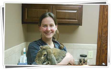 Northbrook Animal Hospital | 7933 W River Rd, Brooklyn Park, MN 55444 | Phone: (763) 560-5320