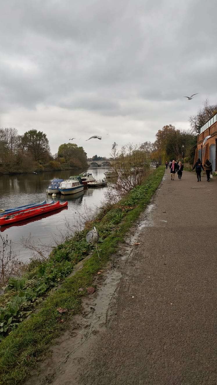 Buccleuch Gardens | Richmond, UK