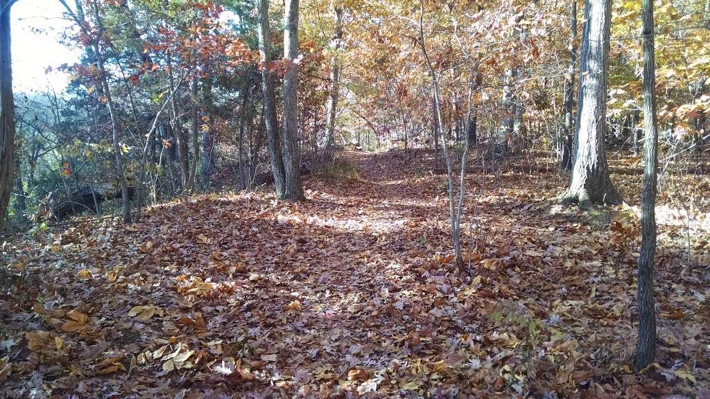 Little Rocky Run Trail | Little Rocky Run Cir, Centreville, VA 20121, USA