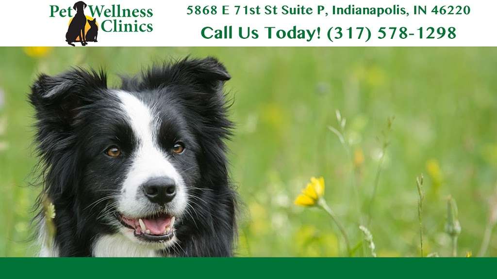 Binford Pet Wellness Clinic | 5868 E 71st St suite p, Indianapolis, IN 46220, USA | Phone: (317) 578-1298
