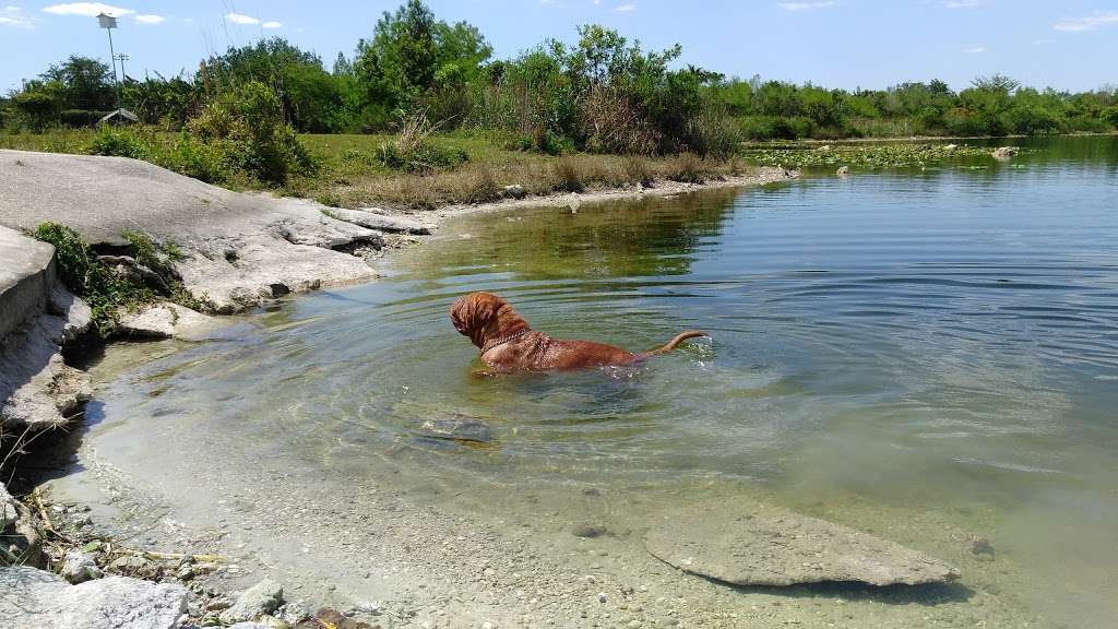 Dr. Pauls Dog Park | 2915 Sportsplex Dr, Coral Springs, FL 33065, USA | Phone: (954) 344-1841