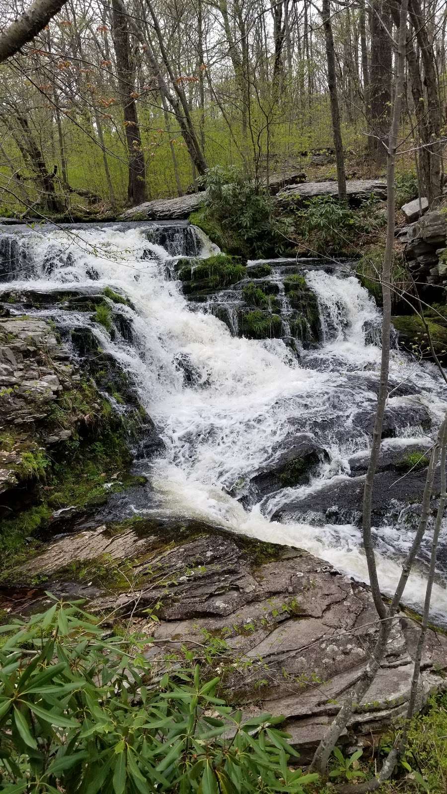 Indian Ladder Falls | Leavitt Branch, Greentown, PA 18426, USA