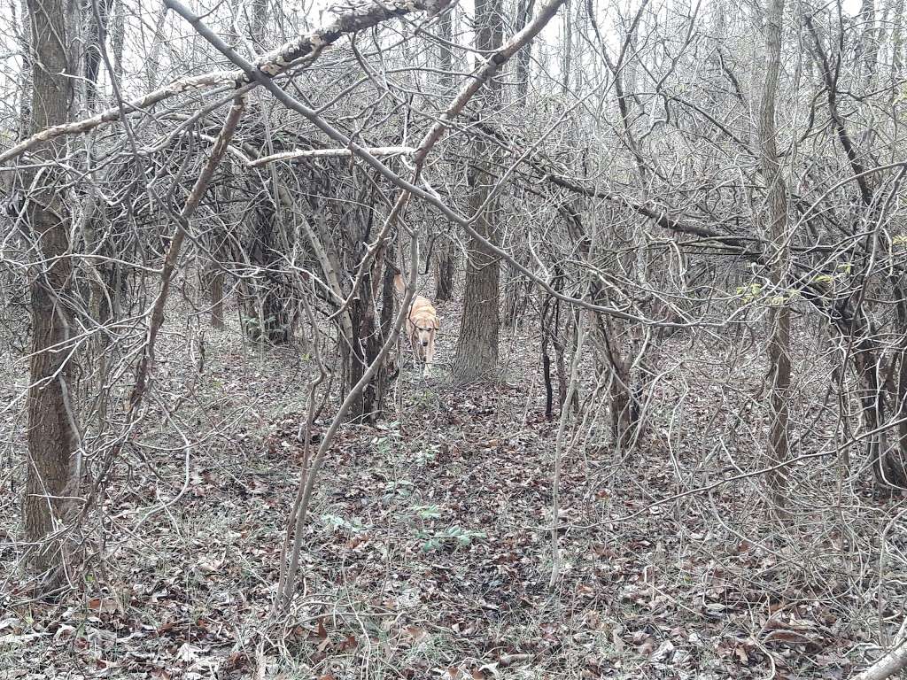 Black Marsh Natural Area | Millers Island Blvd, Edgemere, MD 21219, USA