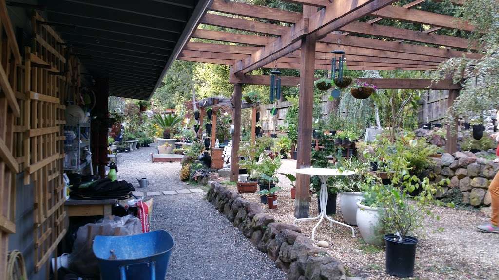 Thornhill Nursery | 6250 Thornhill Dr, Oakland, CA 94611 | Phone: (510) 339-1311