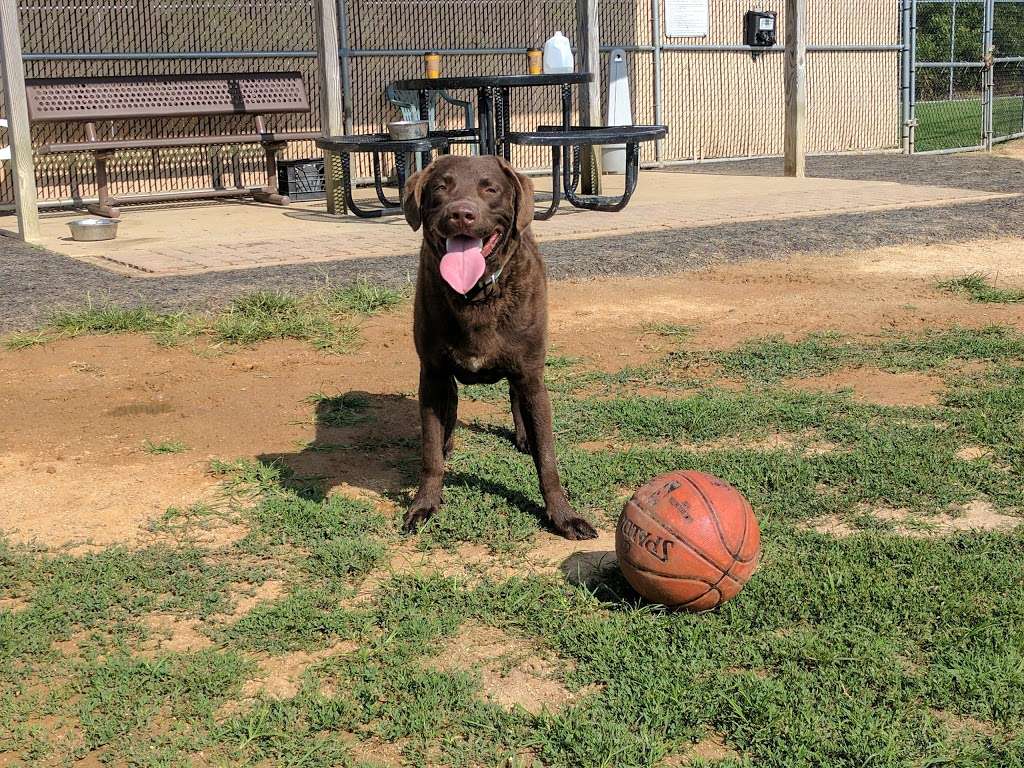 Dog Playground | 502 94th St, Ocean City, MD 21842, USA | Phone: (410) 250-0125