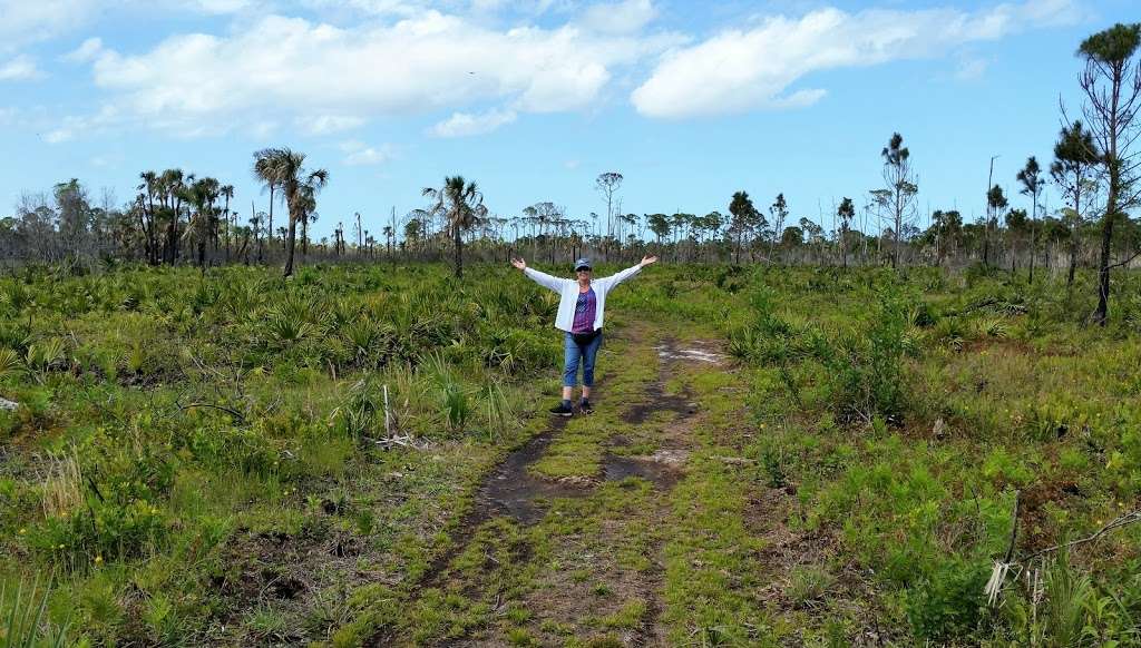 Pine Island Conservation Area | 1655 Pine Island Rd, Merritt Island, FL 32953, USA | Phone: (321) 633-2000