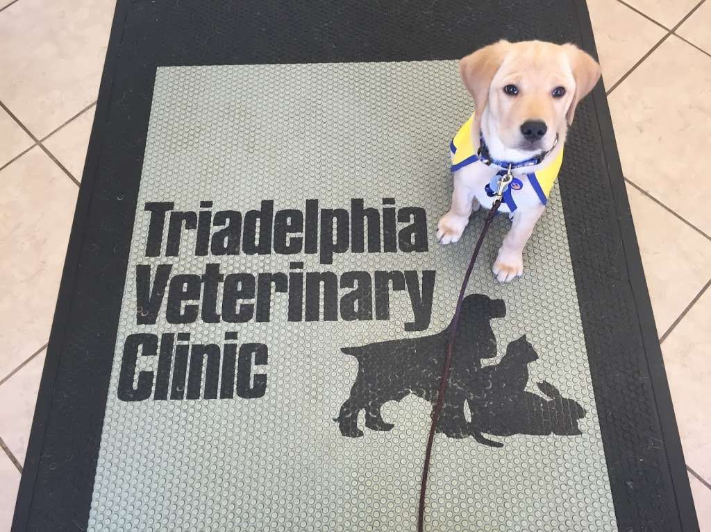 Triadelphia Veterinary Clinic | 3900 Ten Oaks Rd #2-4, Glenelg, MD 21737 | Phone: (443) 535-9257