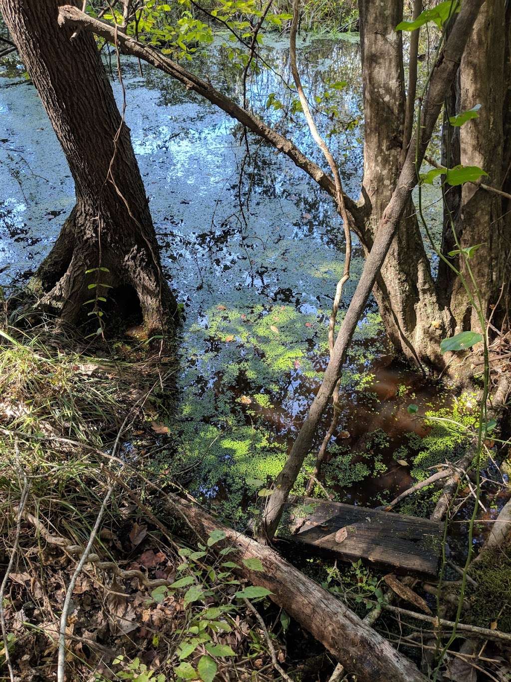 40 Acre Rock Lower Parking | Kershaw, SC 29067, USA