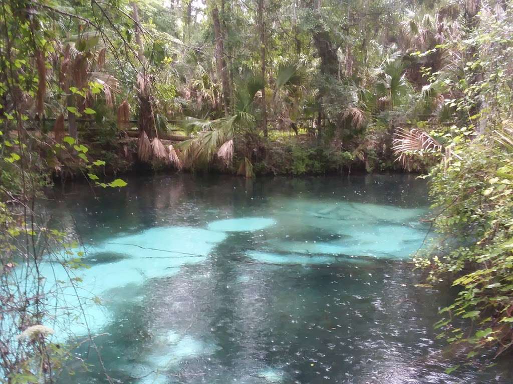 Ocala National Forest | FL-40, Silver Springs, FL 34488, USA | Phone: (352) 625-2520