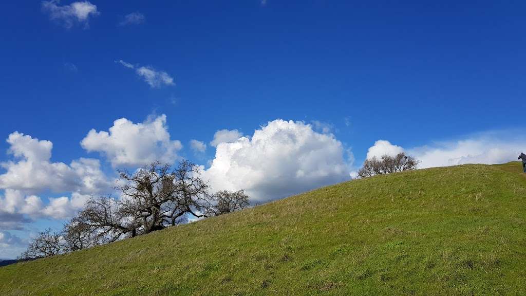 Sycamore Valley Open Space South | Danville, CA 94506, USA